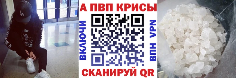 Альфа ПВП СК Костомукша