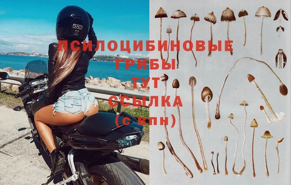 герыч Богданович