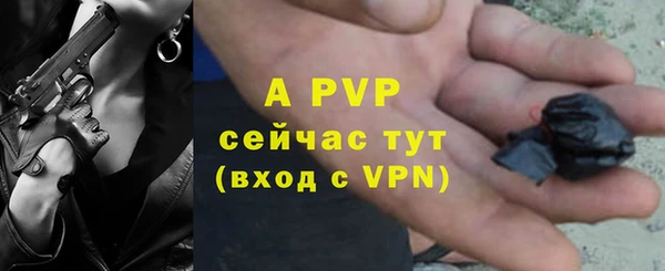 гашик Богородицк