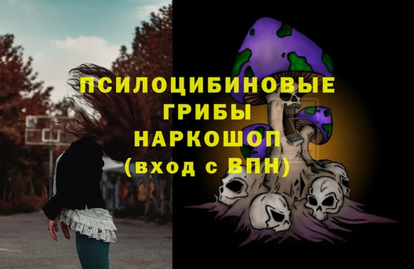 спайс Богородск